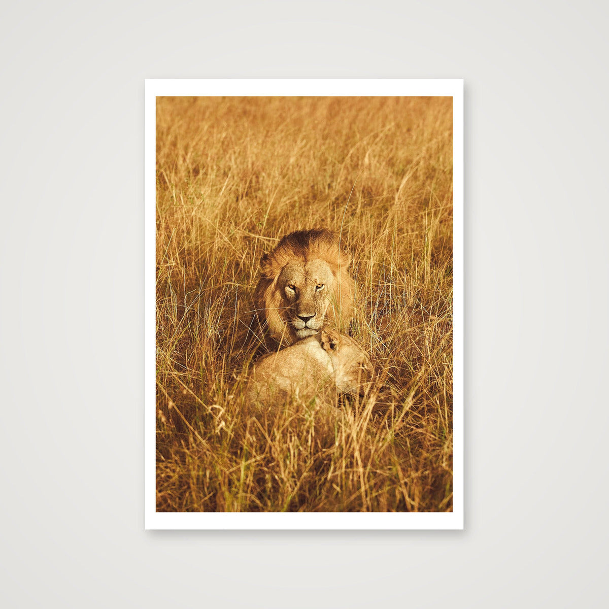 Leo — A3 (30×42cm, 12×17") Print only