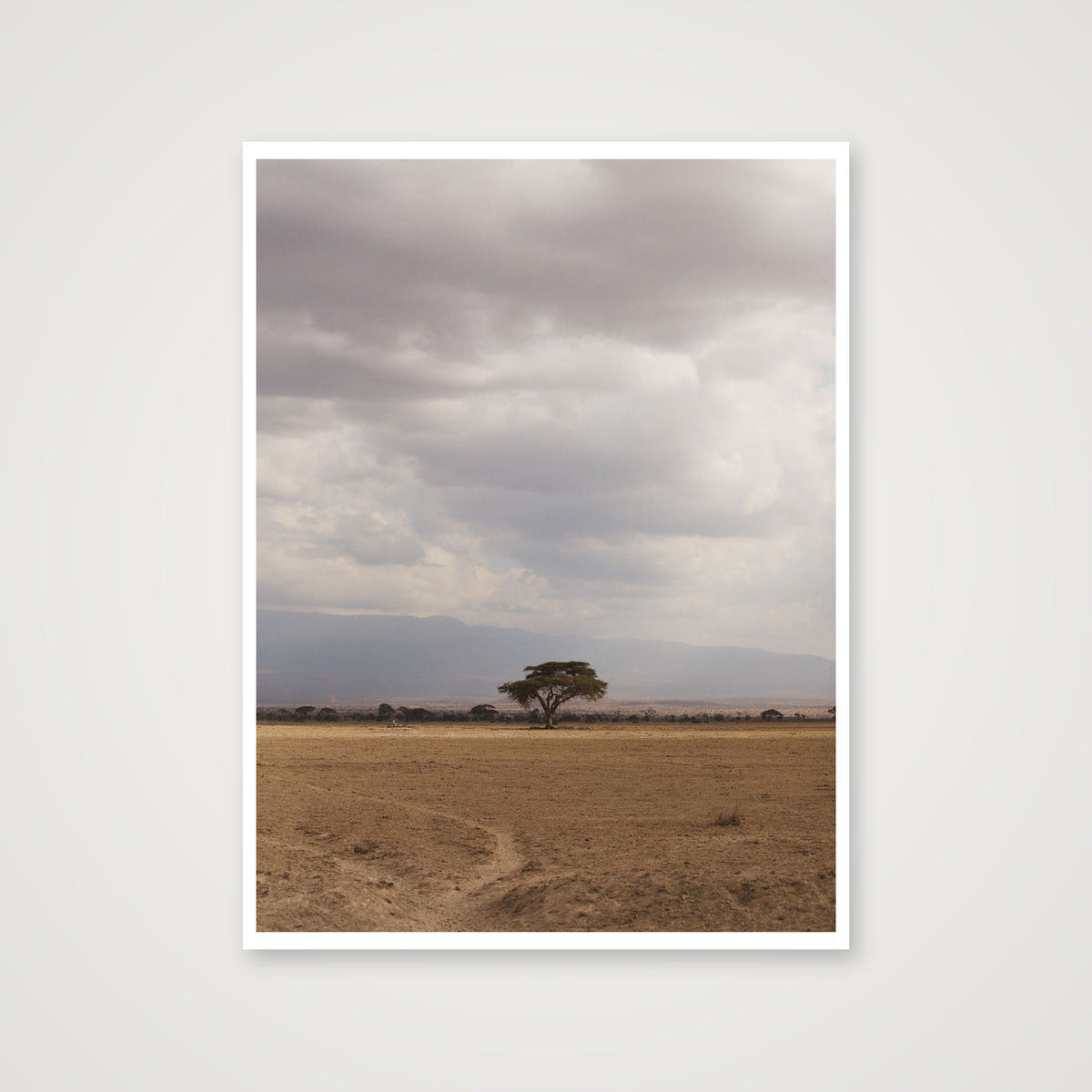Stand Alone — 46×61cm, 18×24" Print only