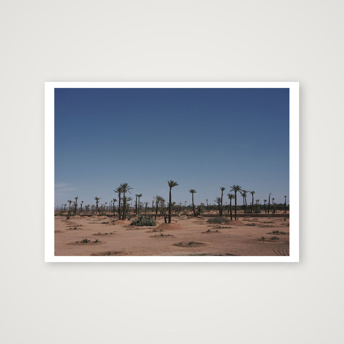 Palms — A3 (42×30cm, 17×12") Print only