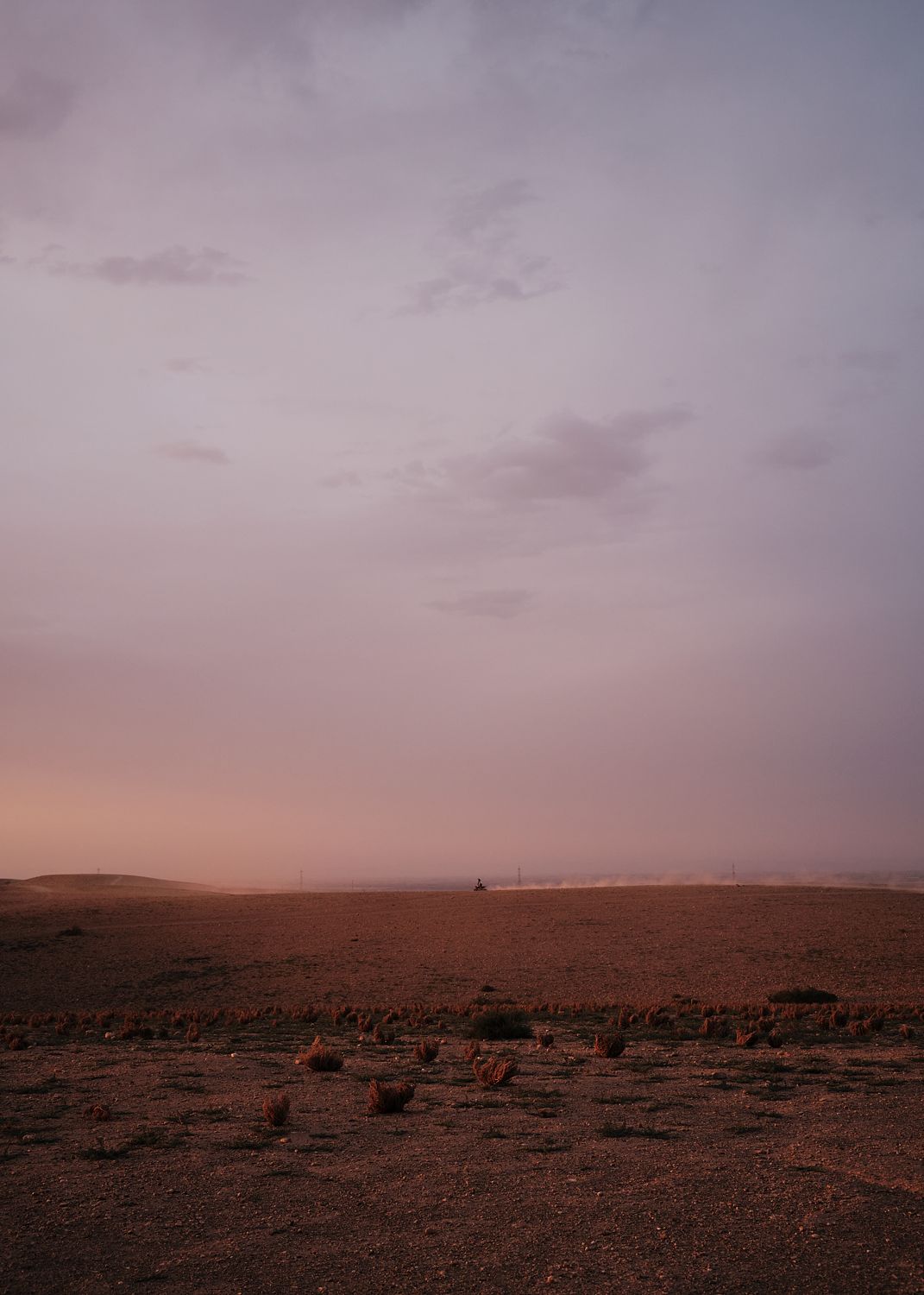 Solo Traveller