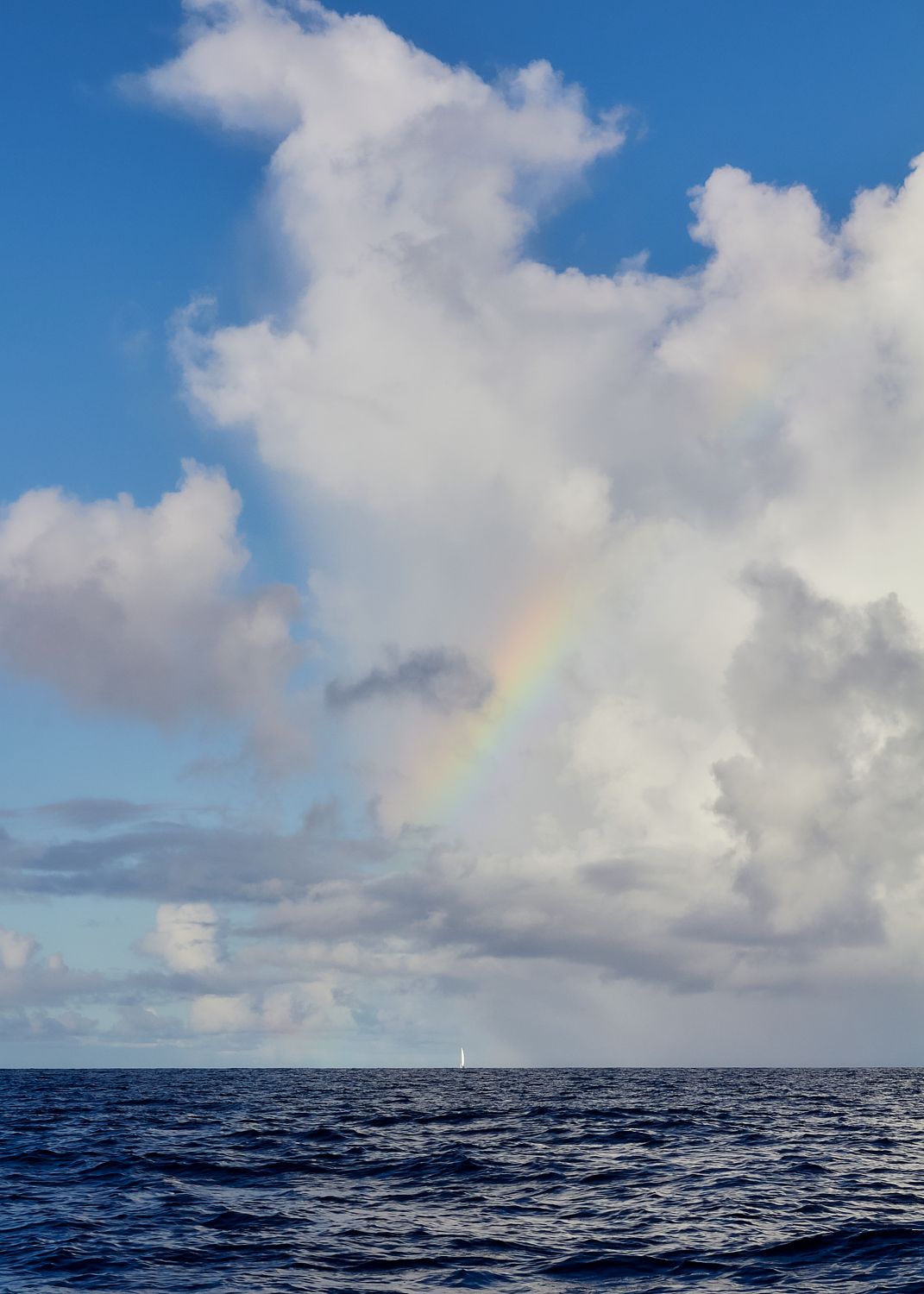Out at Sea