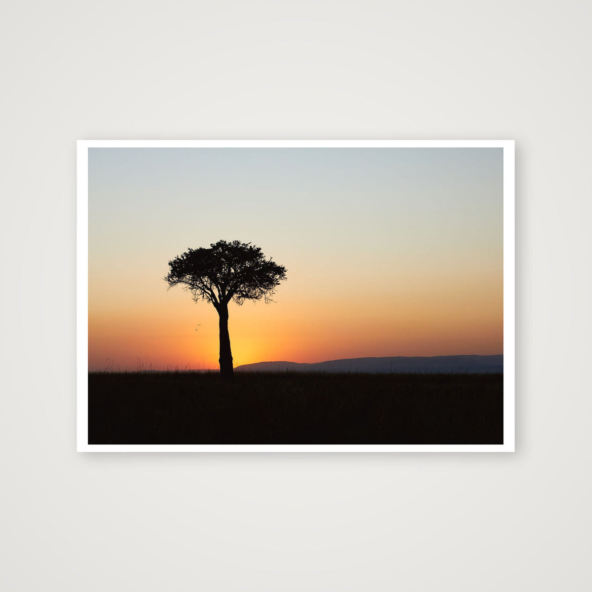 Sunrise Tree — 59×42cm, 23×17" Print only