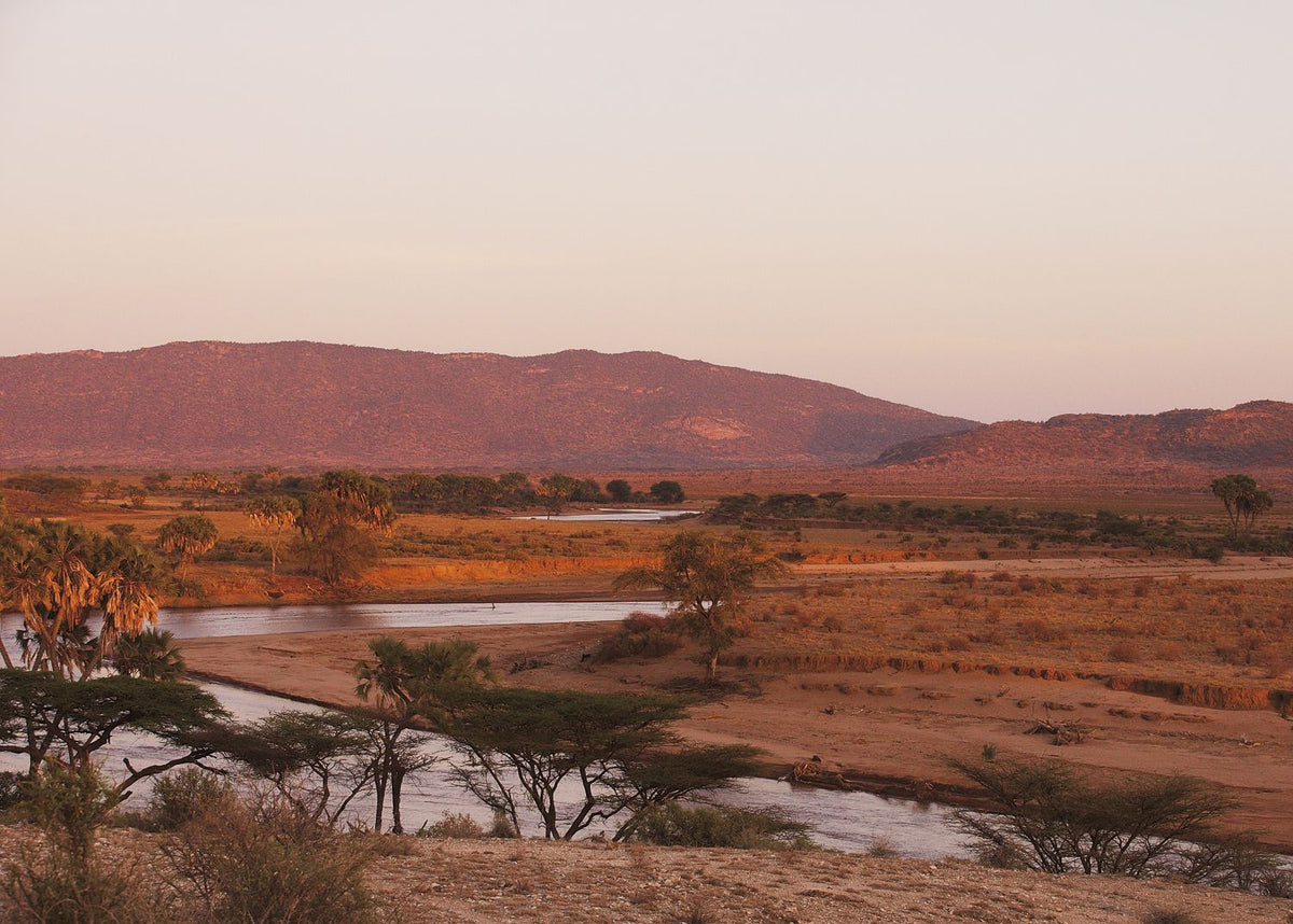 Samburu Morning