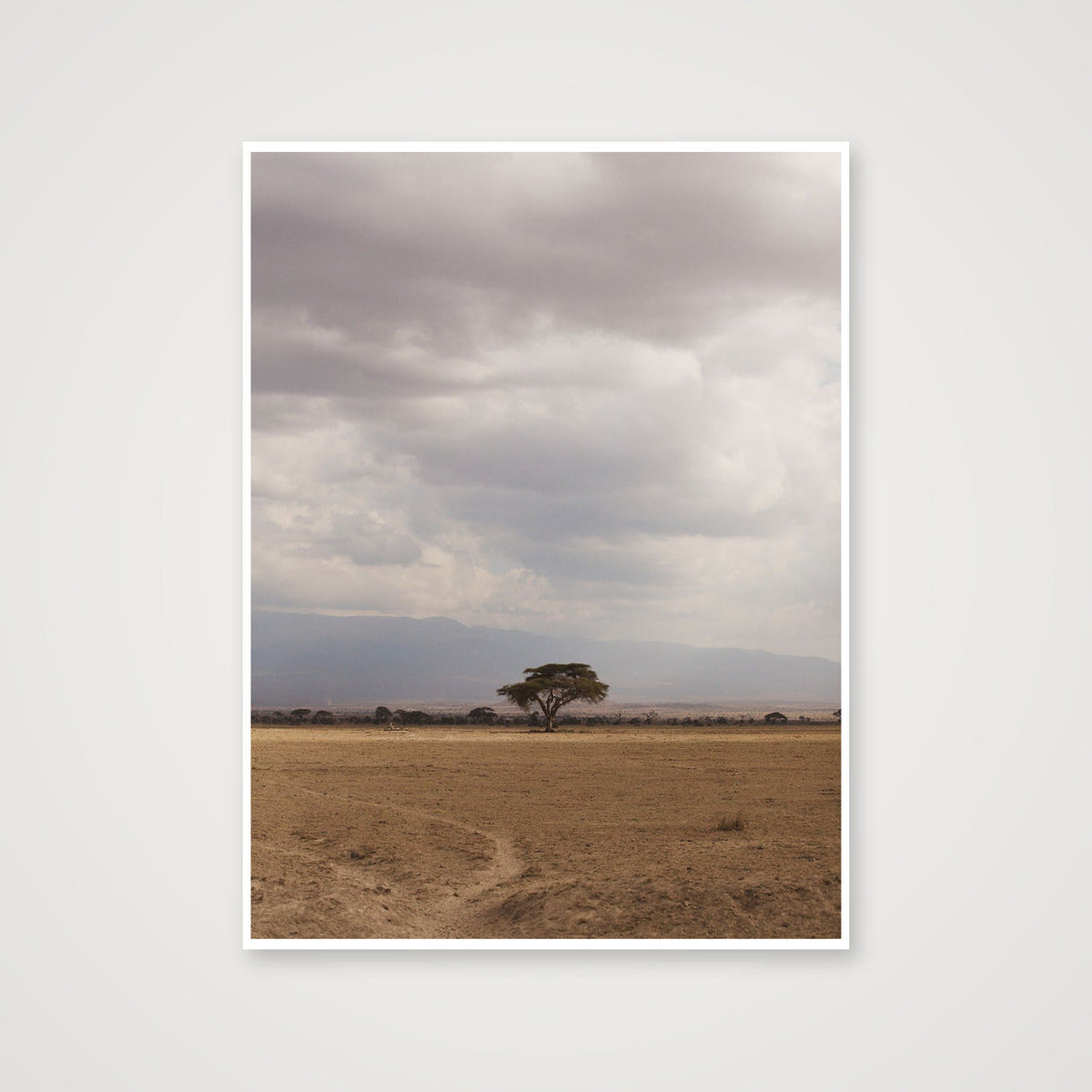 Stand Alone — 76×102cm, 30×40" Print only