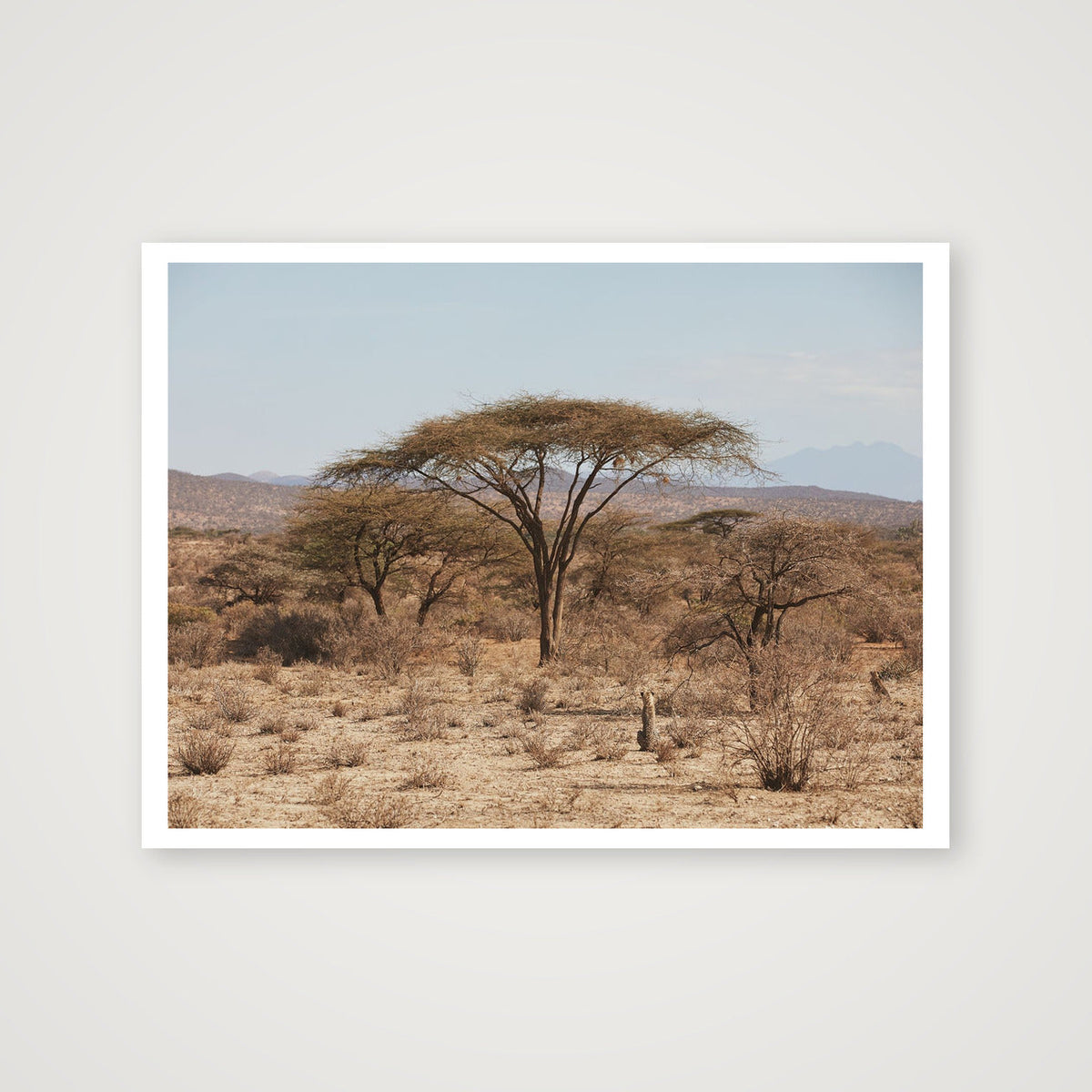 The Hunt — 41×30cm, 16×12" Print only