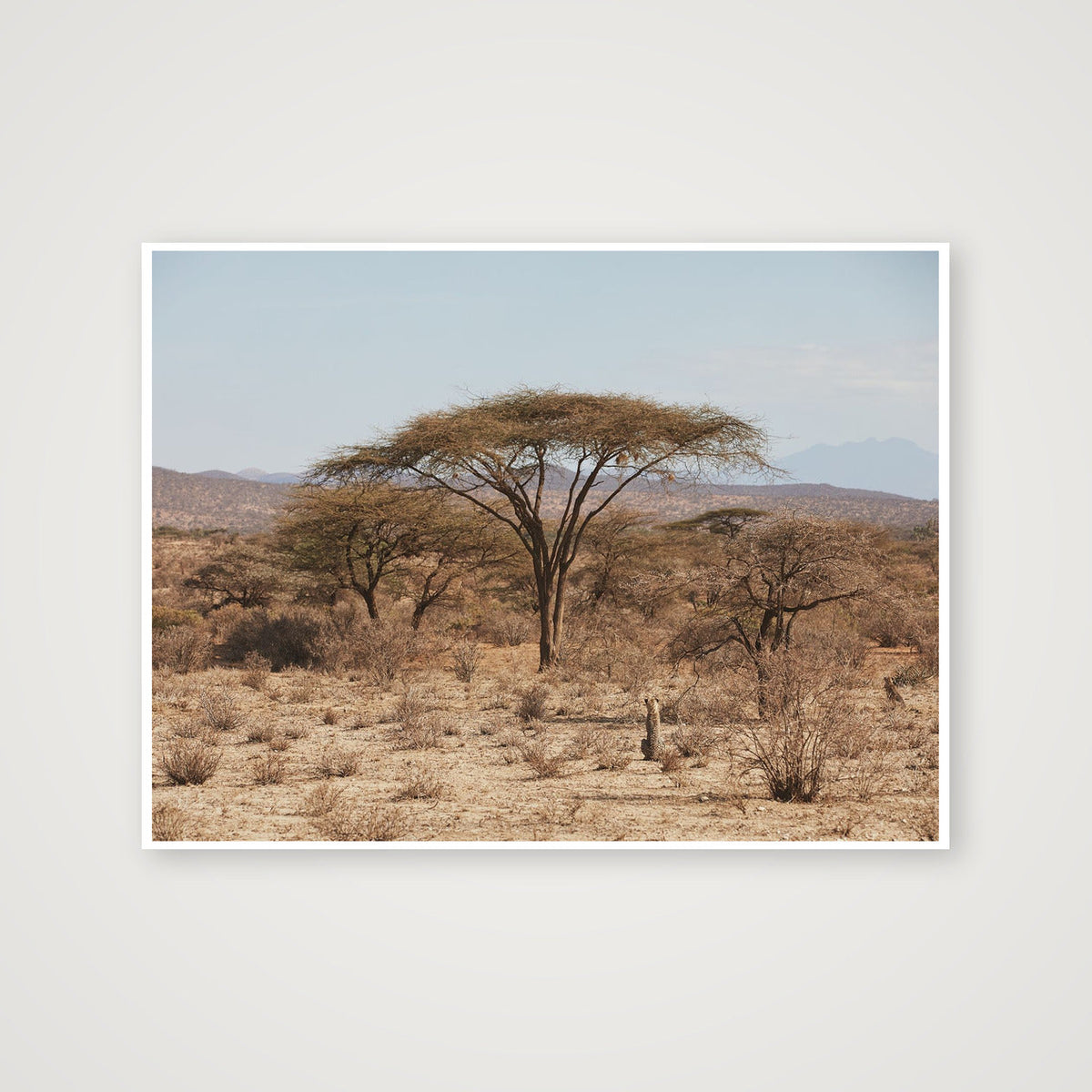 The Hunt — 102×76cm, 40×30" Print only