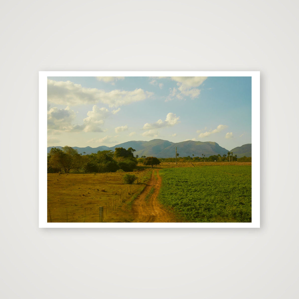 Tabacco Farms of Cuba — A3 (42×30cm, 17×12") Print only