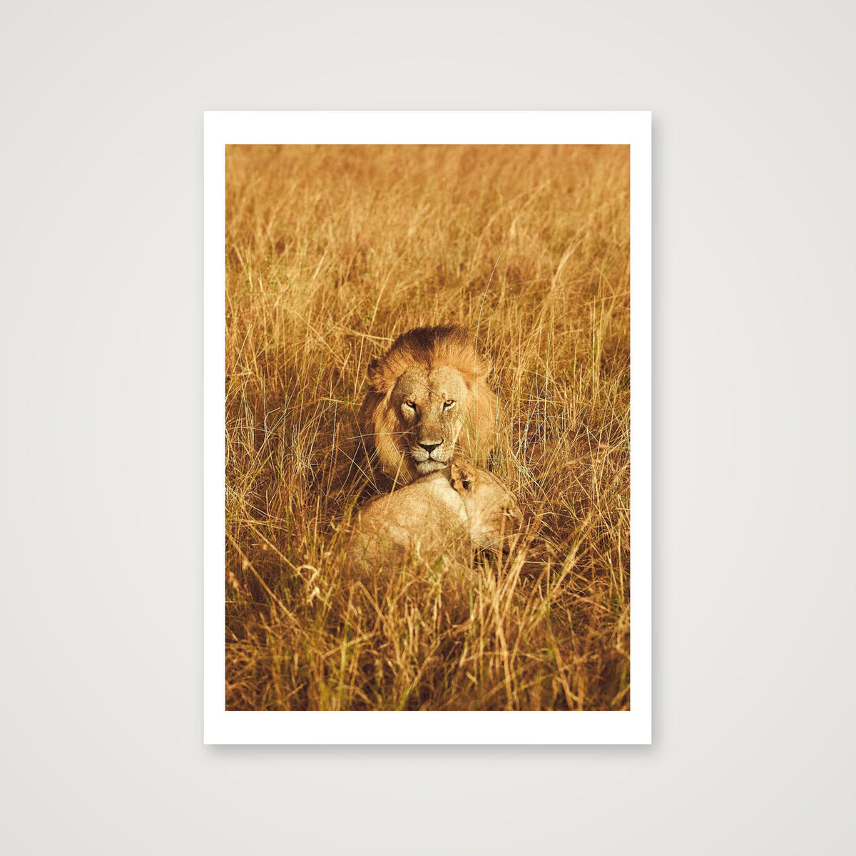 Leo — A4 (21×30cm, 8×12") Print only