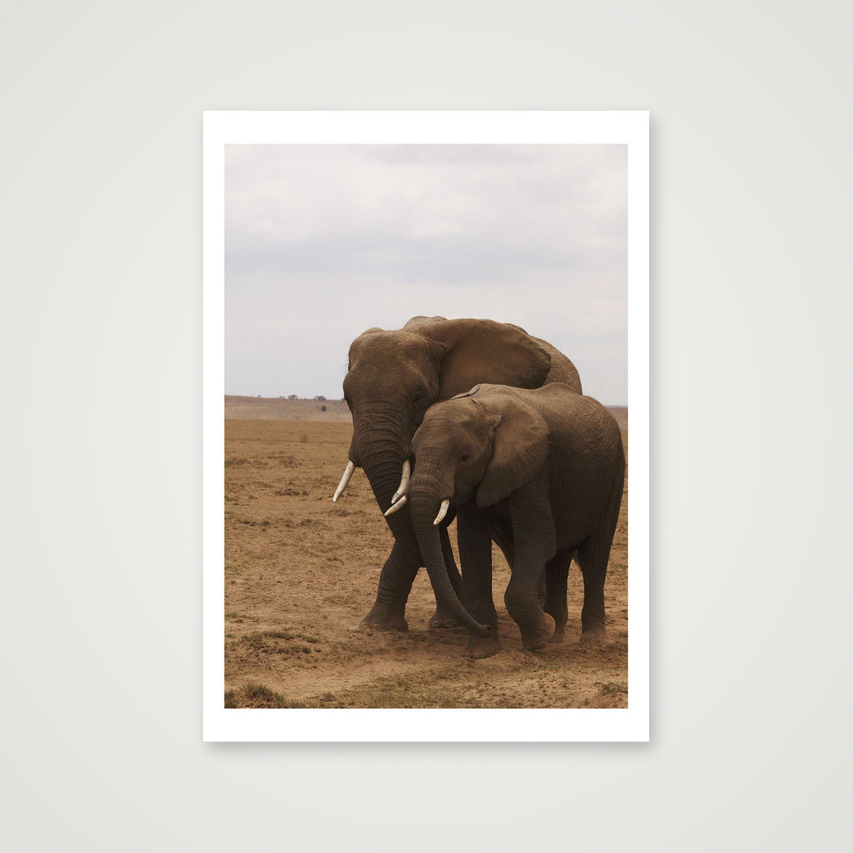 Elephant Couple — A4 (21×30cm, 8×12") Print only