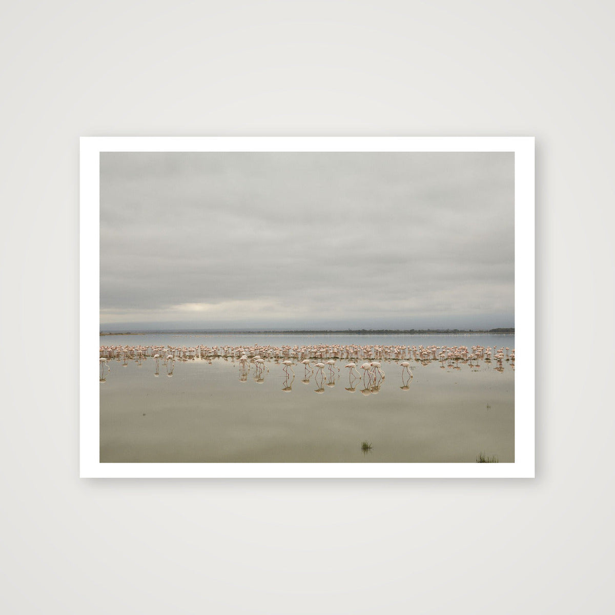 Flock — 30×23cm, 12×9" Print only