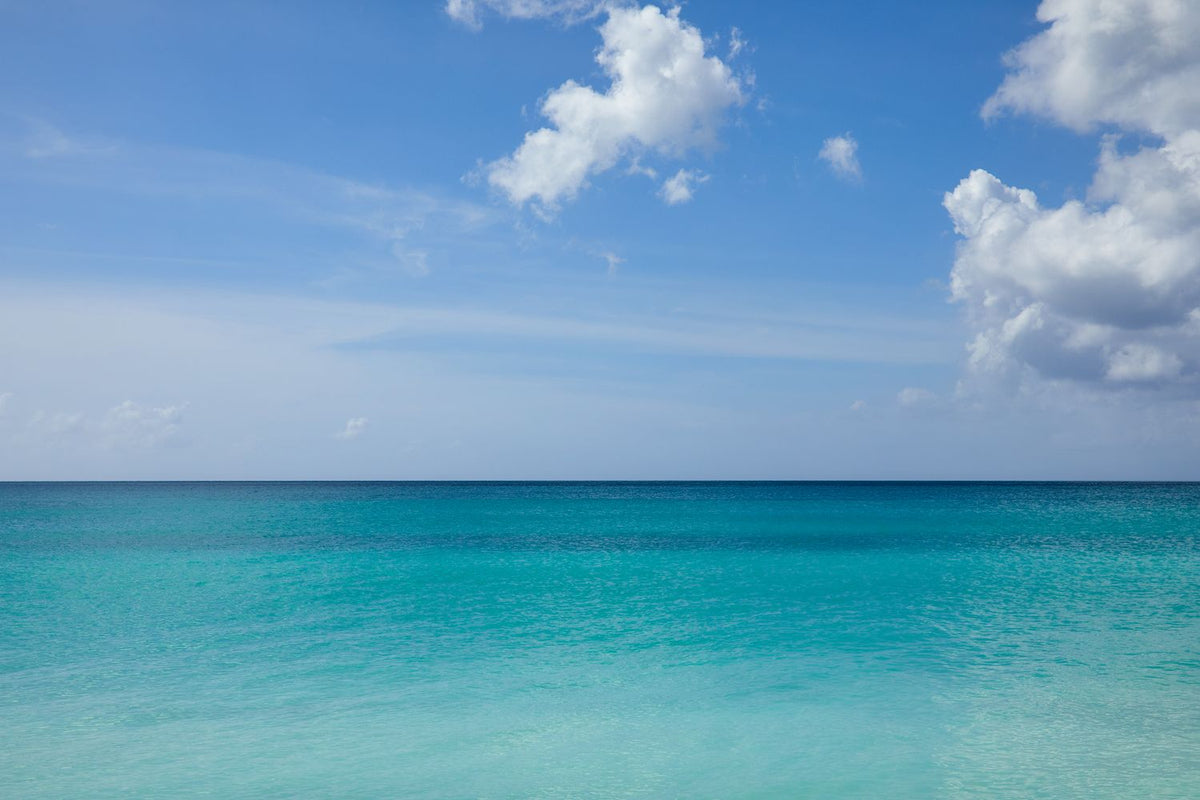 Tropical View