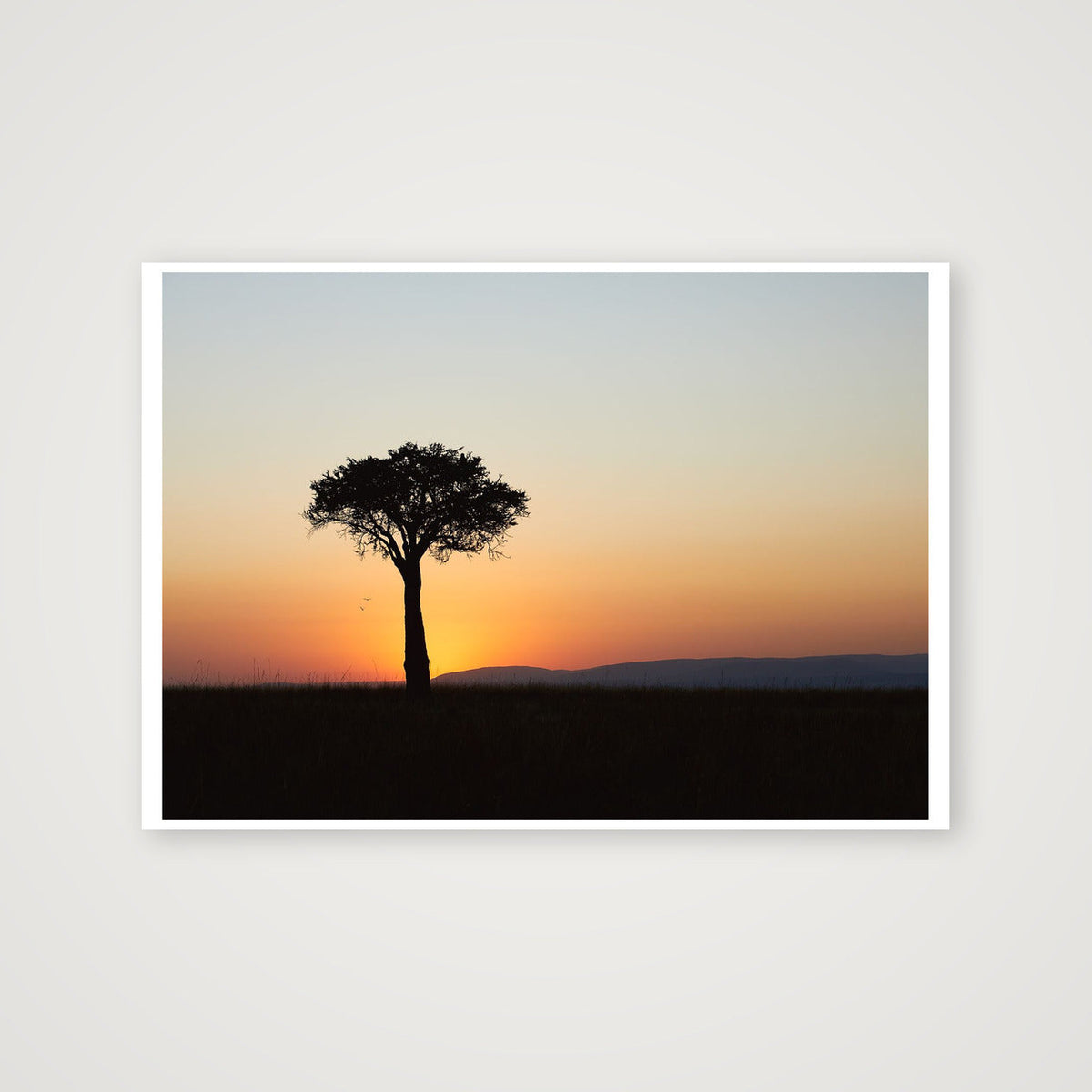 Sunrise Tree — 84×59cm, 33×23" Print only