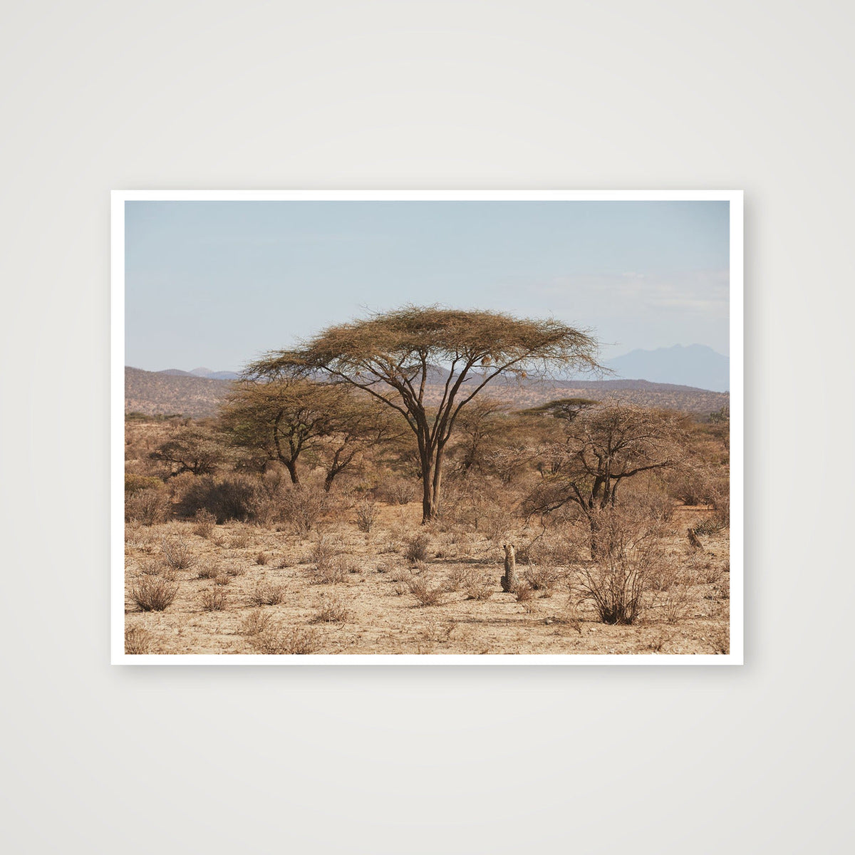 The Hunt — 61×46cm, 24×18" Print only