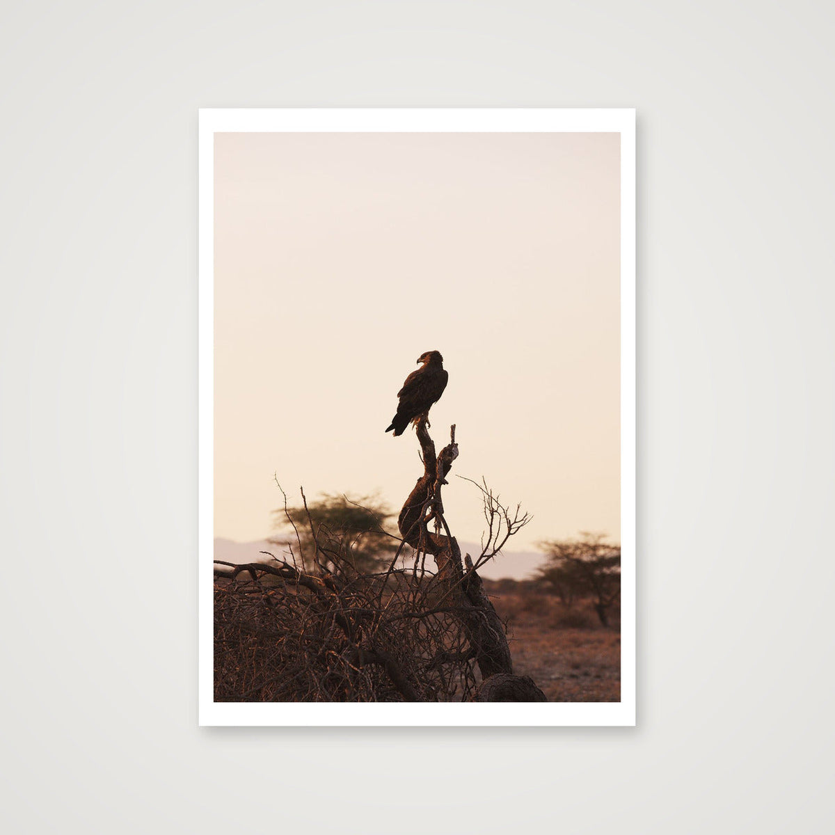 Sunrise Eagle — A3 (30×42cm, 12×17") Print only