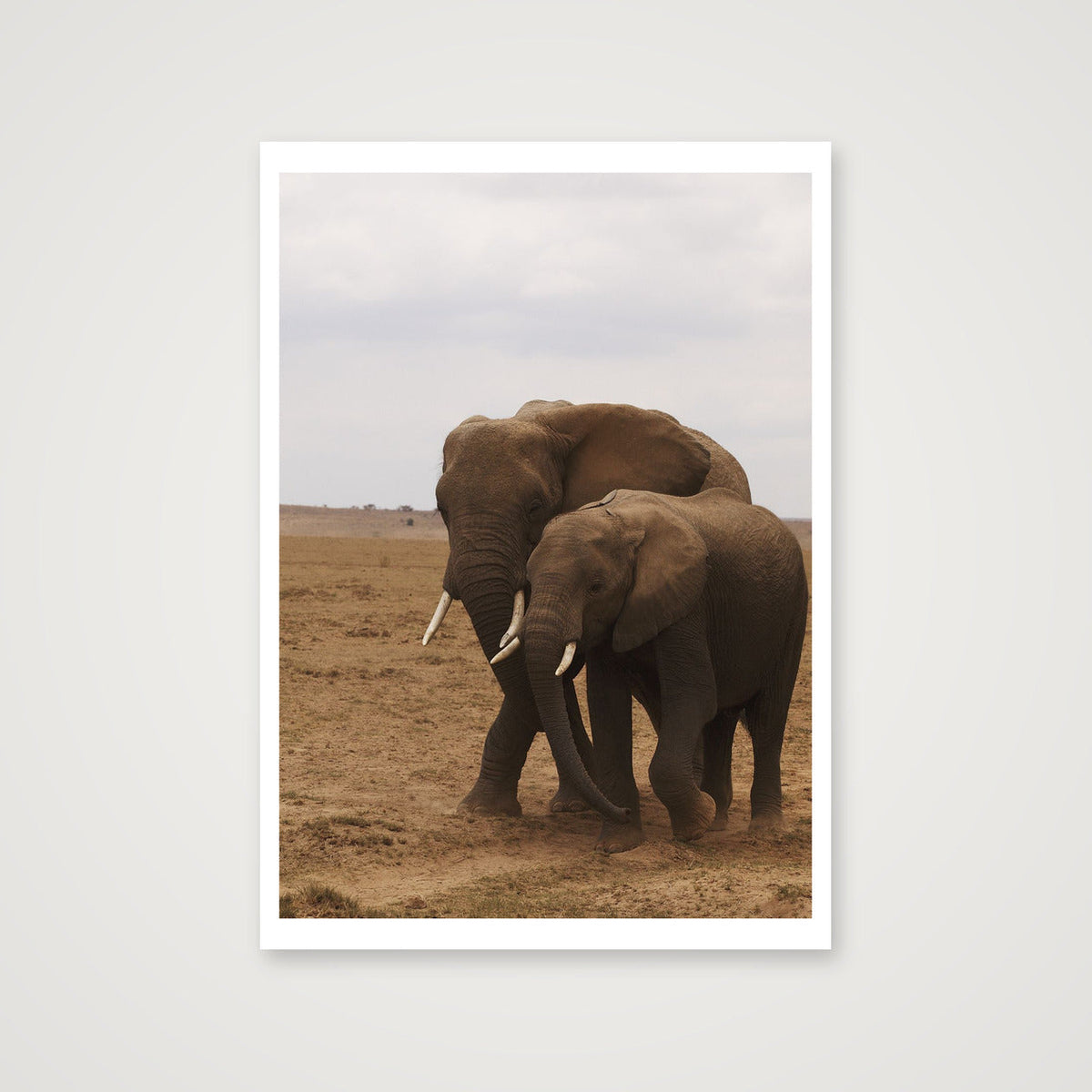 Elephant Couple — A3 (30×42cm, 12×17") Print only