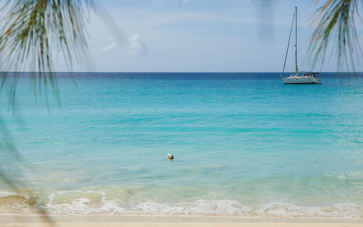 Tropical Island View