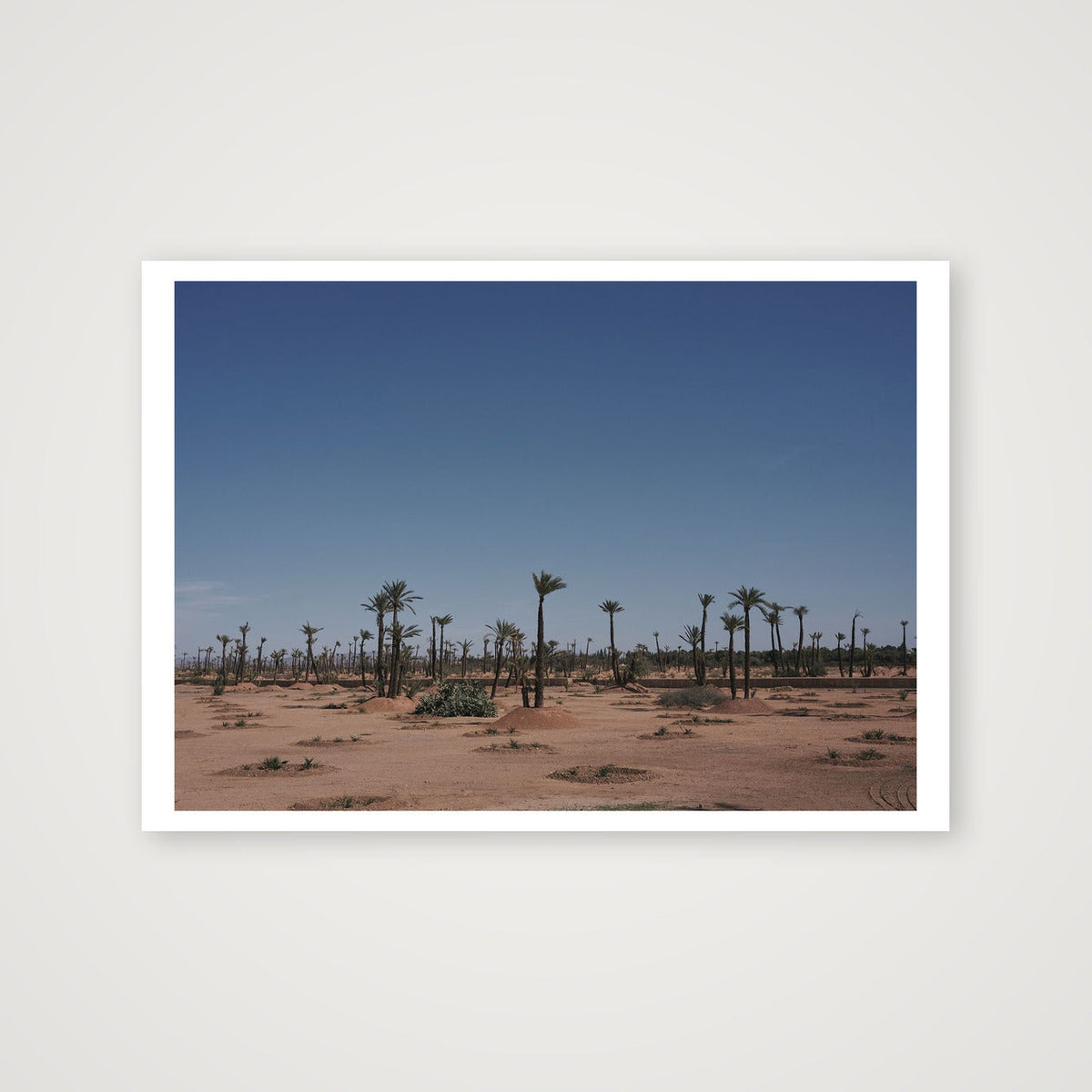 Palms — A4 (30×21cm, 12×8") Print only