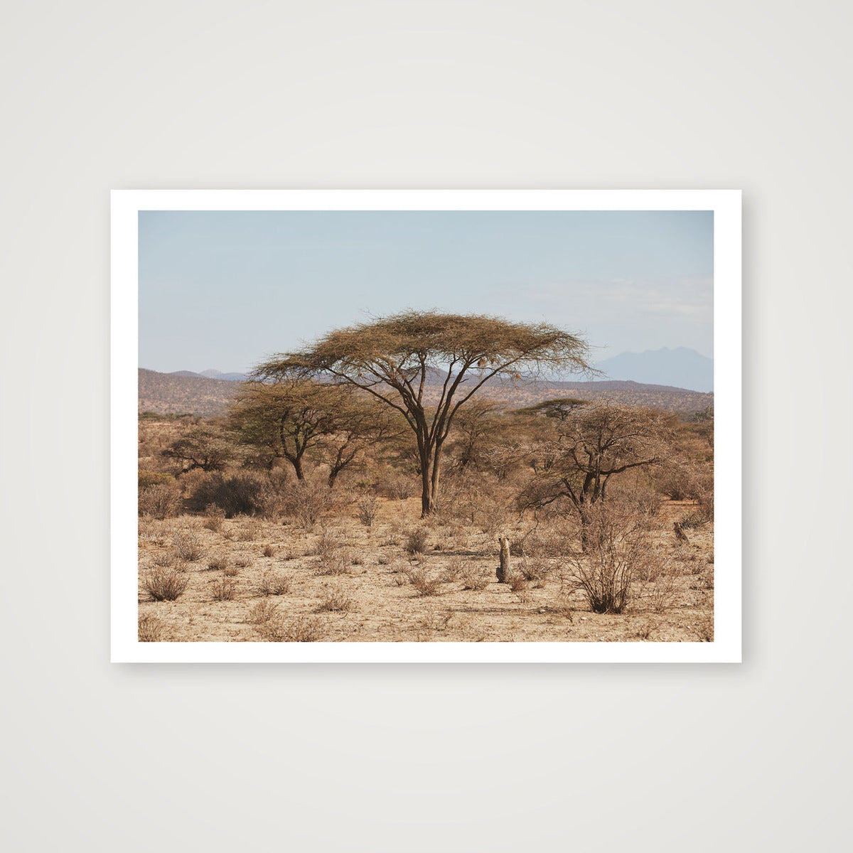 The Hunt — 30×23cm, 12×9" Print only