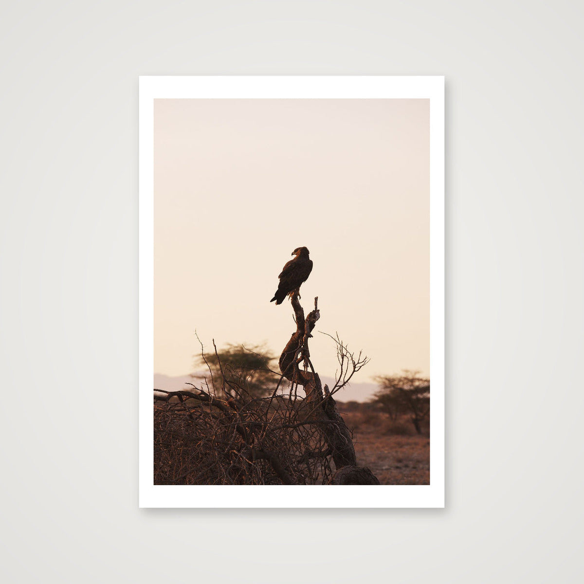 Sunrise Eagle — A4 (21×30cm, 8×12") Print only